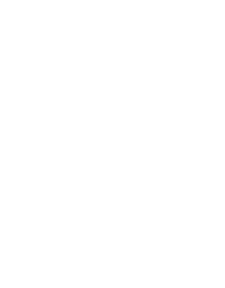 IPT Institute International