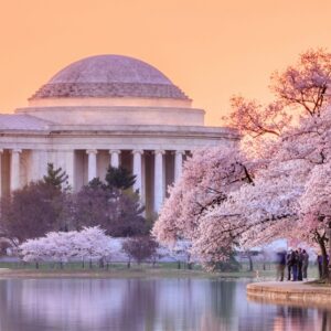 IPT Level A Course: In-Person DC July 2026